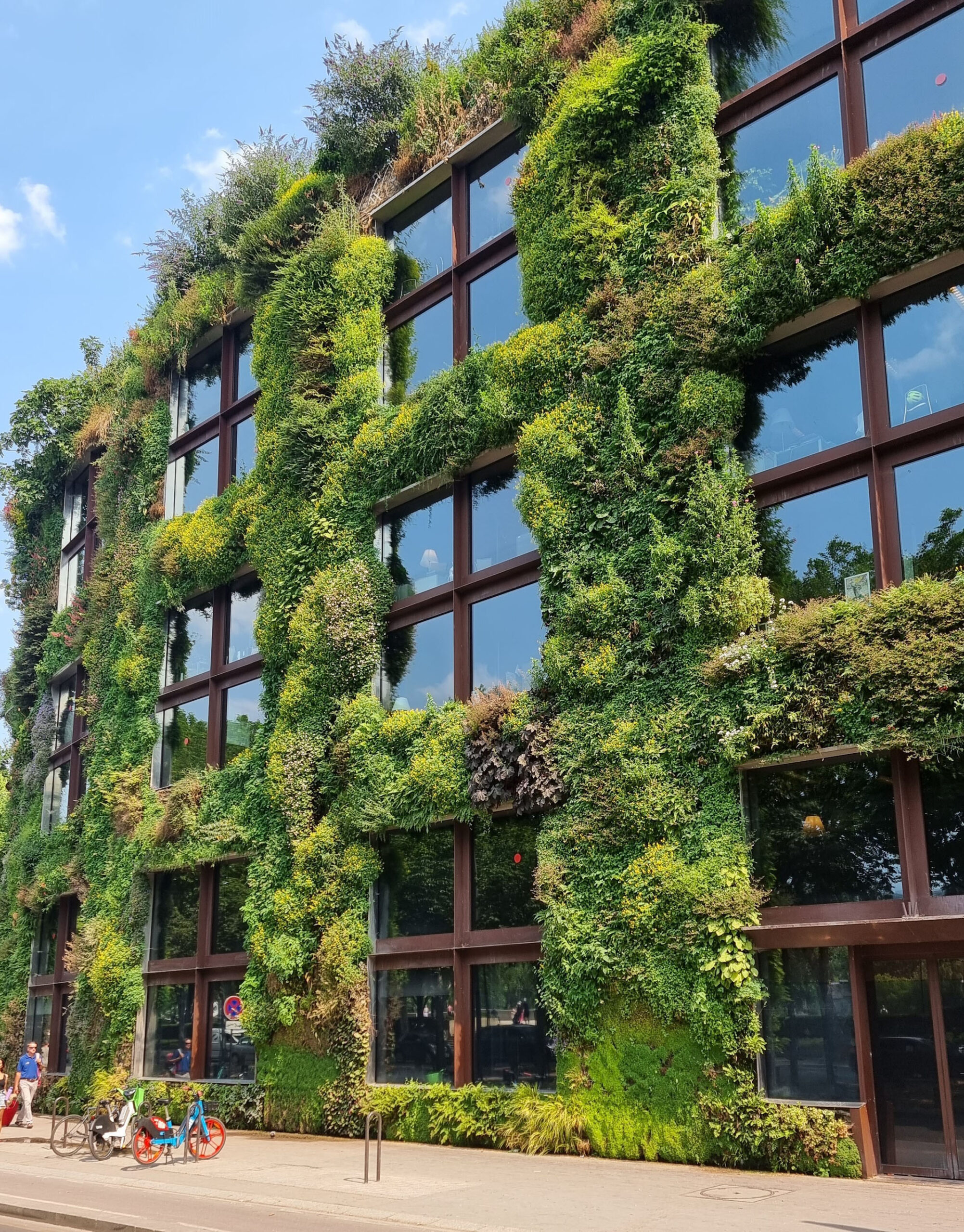 Klimaanpassung-Stadtgruen-Fassadenbegruenung-4-(c)GreenCity-eV_Wolfgang Heidenreich
