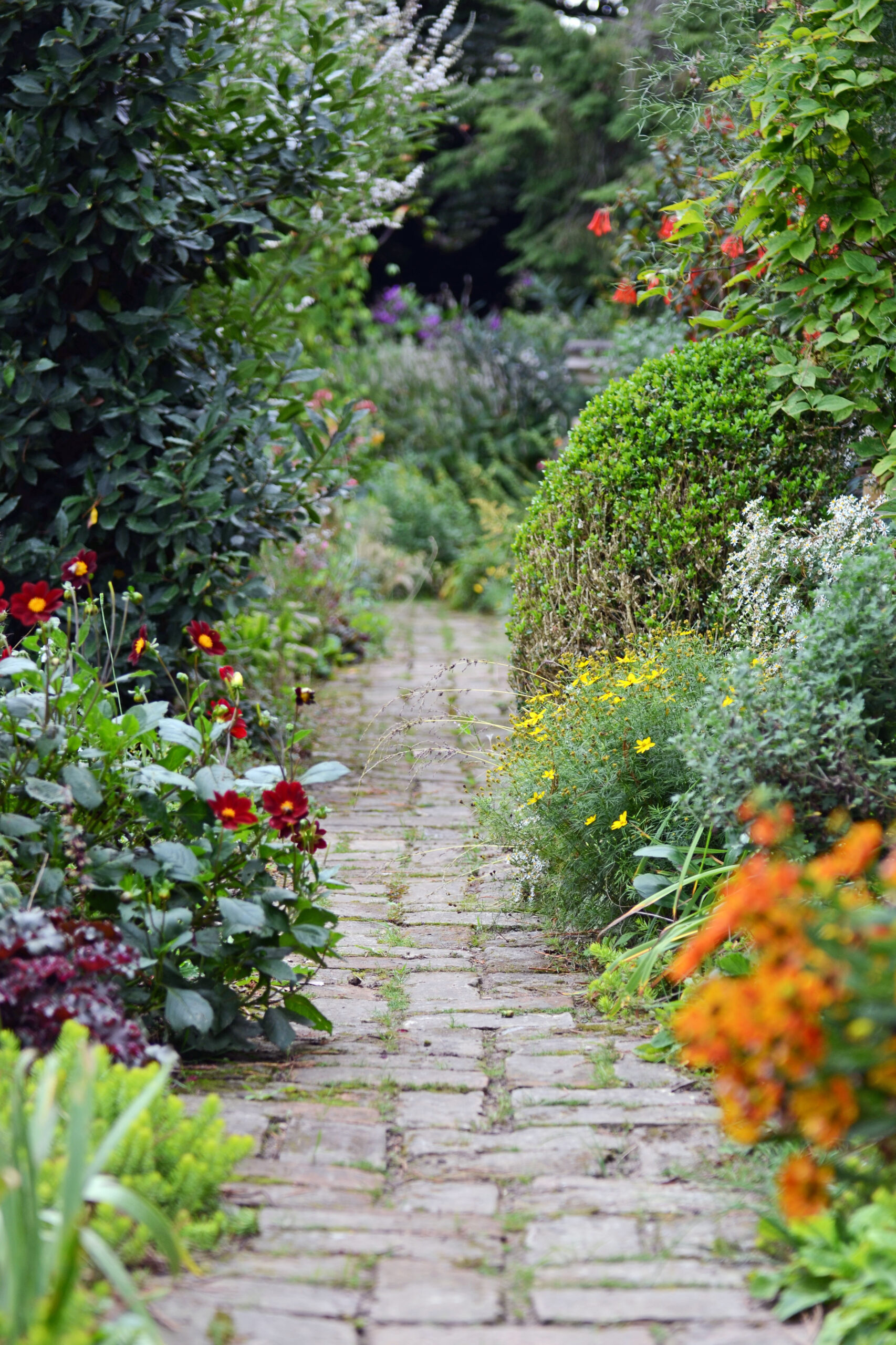 Klimaanpassung-Naturnaher-Garten_(c)HMLU